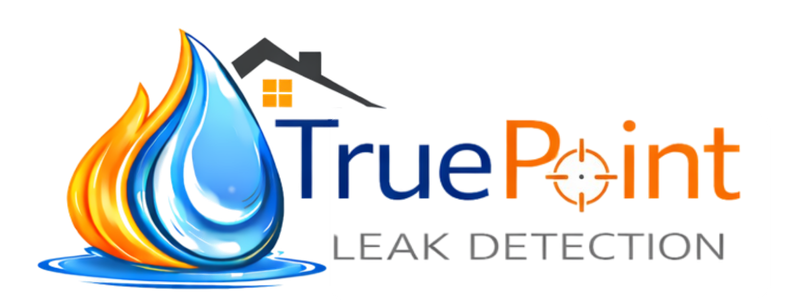 TruePoint Leak Detection